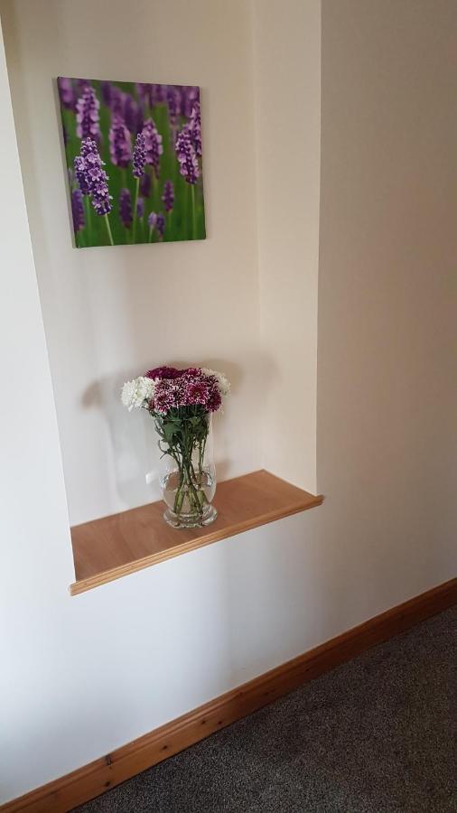 Modern 1 Bed Apartment Close To كامبيلتاون المظهر الخارجي الصورة